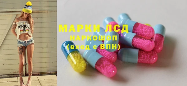 хмурый Алексин