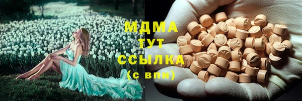 хмурый Алексин
