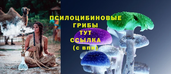 твердый Алзамай