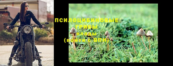 твердый Алзамай
