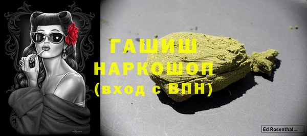 хмурый Алексин